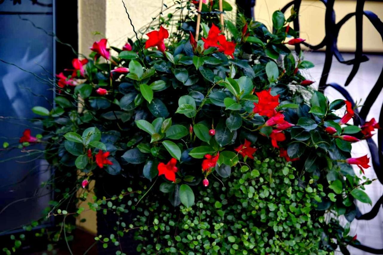 Bed and Breakfast Senoji Palanga Exterior foto